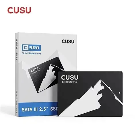 SSD CUSU C300 1TB SATA