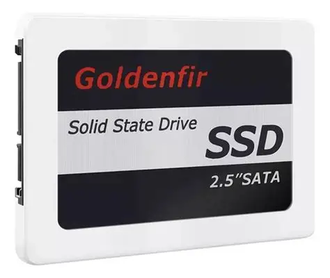 SSD GOLDENFIR 360GB SATA